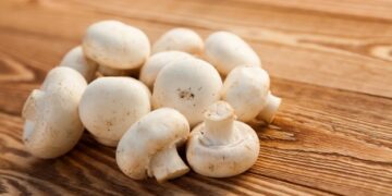 ផ្សិតអាចជួយកាត់បន្ថយហានិភ័យជំងឺមហារីកបានខ្ពស់