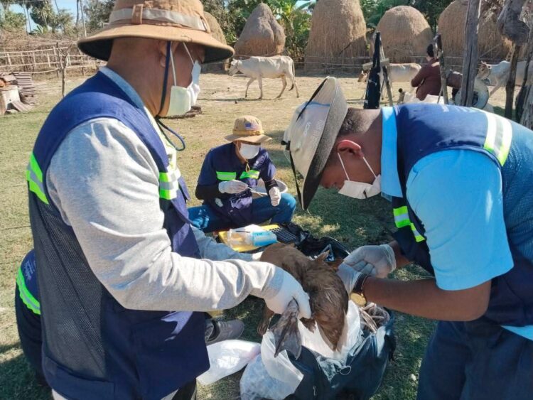 អាជ្ញាធរខេត្តកំពង់ឆ្នាំង ចុះយកសំណាក និងបូមឈាមសត្វចិញ្ចឹមដើម្បីសិក្សាពីមេរោគដែលបង្កជាជម្ងឺឆ្លងទៅសត្វ និងមនុស្ស
