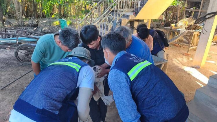 អាជ្ញាធរខេត្តកំពង់ឆ្នាំង ចុះយកសំណាក និងបូមឈាមសត្វចិញ្ចឹមដើម្បីសិក្សាពីមេរោគដែលបង្កជាជម្ងឺឆ្លងទៅសត្វ និងមនុស្ស