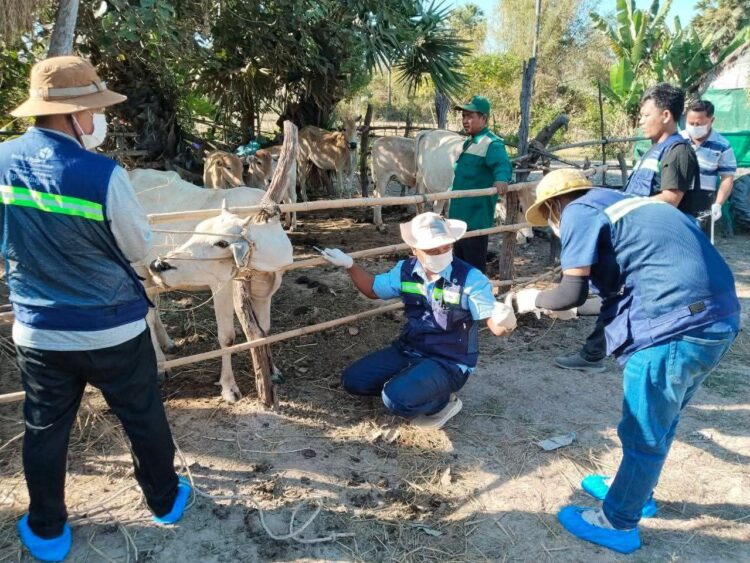 អាជ្ញាធរខេត្តកំពង់ឆ្នាំង ចុះយកសំណាក និងបូមឈាមសត្វចិញ្ចឹមដើម្បីសិក្សាពីមេរោគដែលបង្កជាជម្ងឺឆ្លងទៅសត្វ និងមនុស្ស
